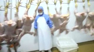 Отделитель головы, убойная машина, ООО " Чан Сюнь", Китай