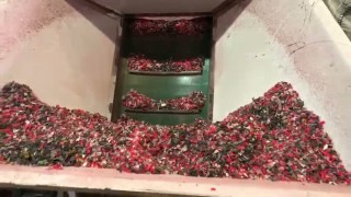 Линия грануляции с водокольцевой резкой под ключ39