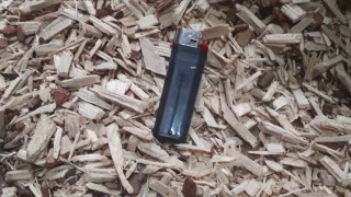 Измельчитель древесины Триумф ИД-300