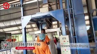 Nigeria Brewer's Grain Spent Drying Line