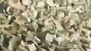 Рубительная машина режет бревна, древесины на щепы