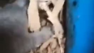 Дробилка, измельчитель, шредер