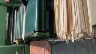 Делительный (гильотина) с транспортером для нарезки лущильного шпона.