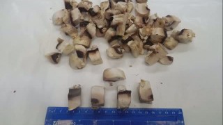 Ручная вертикальная резка РВР-100