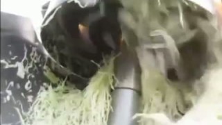 Шинковка для капусты промышленная ШК-1000