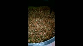 Смеситель пищевой круп, каш, овощей