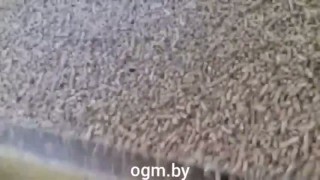 Линия гранулирования на базе гранулятора ОГМ 1,5 + АВМ 0,65