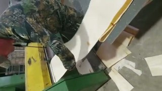 Продам Делитель ножницы Corali M59 для шпона Б/У. 