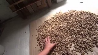 Шнековый экструдер для корма КЭ-150Ш