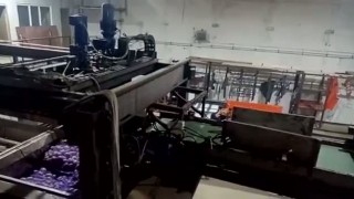 WhatsApp Video 2020-11-06 at 11.31.37 AM