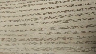 Станок для горячего тиснения древесины ROM-260