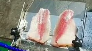 Шкуросъемная машина для рыбы, оборудование для обесшкурирования рыбы, снятия шкуры рыбы
