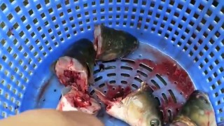 Машина и оборудование для обезглавливания рыбы, машина для удаления головы рыбы