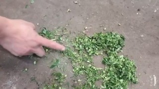 Многофункциональные овощерезки серии FC