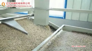 оборудование для очистки,шелушения и сепарации семян подсолнечника TFKH 1200