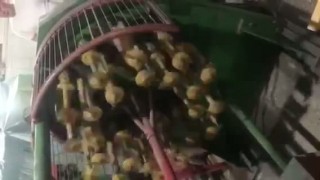 Оплеточная машина на 24 шпули82