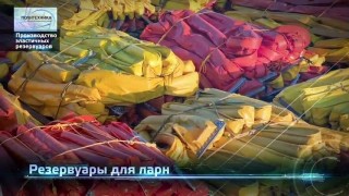 O компании Политехника