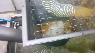 Линии производства горчицы различных сортов68