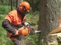 STIHL MS 441