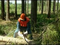 STIHL Безопасная и эффективная работа c бензопилой