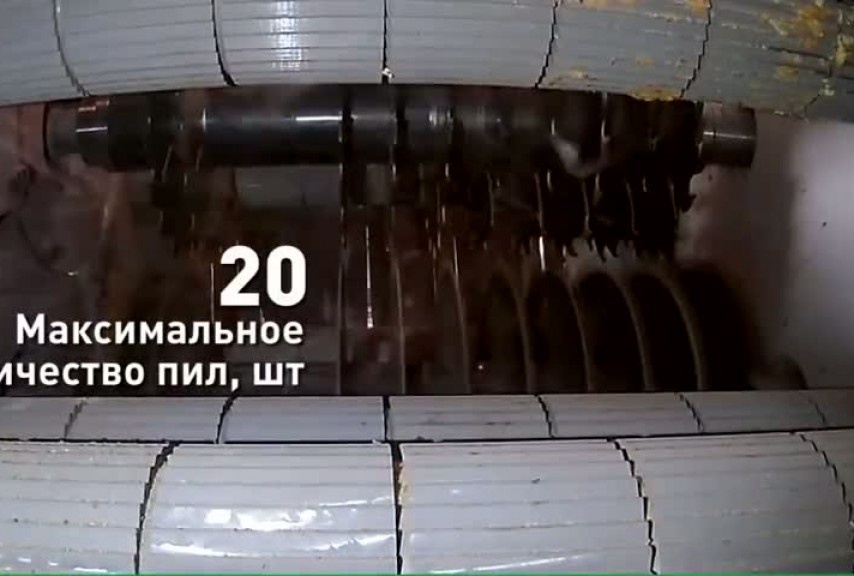 Двухвальный многопильный станок по дереву Триумф М2-700